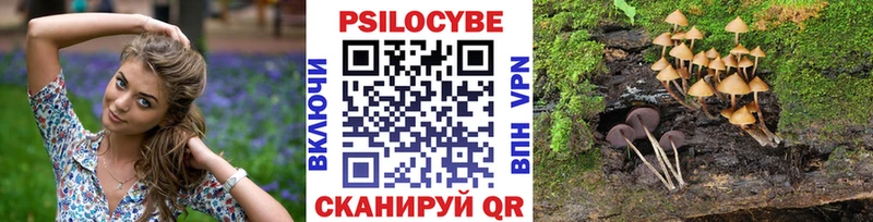 Псилоцибиновые грибы мухоморы  сайты даркнета состав  Эртиль 