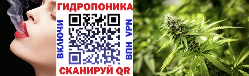 МАРИХУАНА конопля  Эртиль 